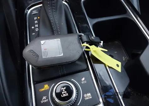 2023 Kia Telluride Ex X-Line from USA, damaged, VIN 5XYP3DGCXPG393300